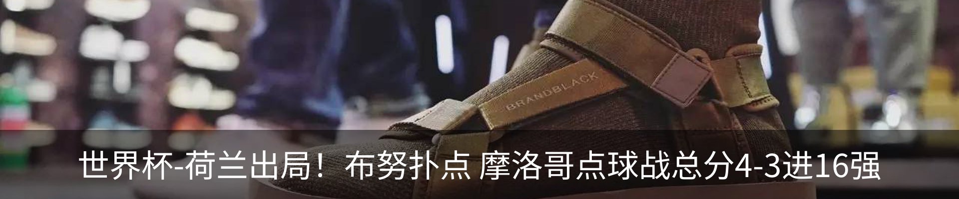 新闻动态