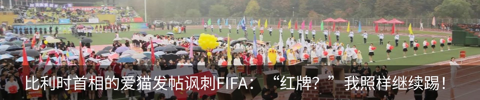 新闻动态