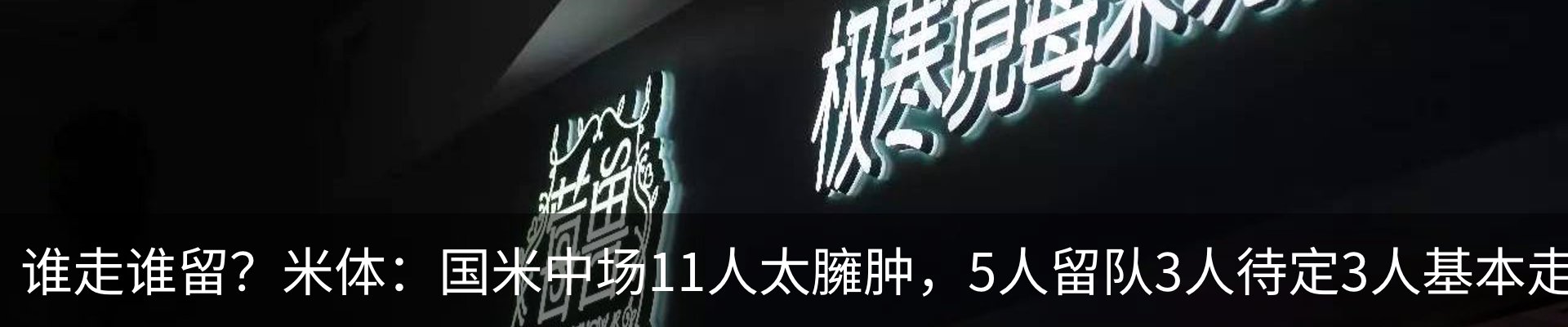 新闻动态