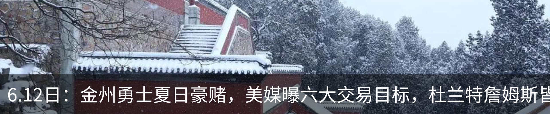 新闻动态